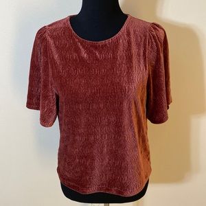 Madewell texture & thread velvet flutter sleeve top